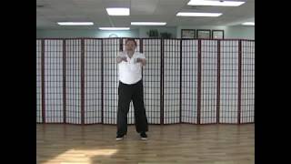 White Crane Qigong:  External to Internal Flying Pattern