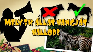 Ismerd fel hangjukról az állatokat!🙂🦓🐅