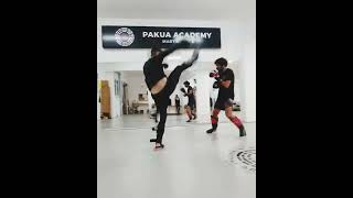 Sanda/KickBoxing/K1