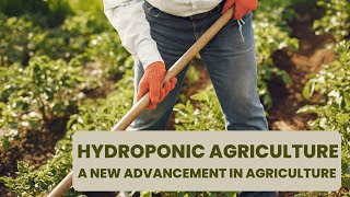 Hydroponic Agriculture | Hydroponic Farming | Hydroponic Working Model | Hydroponic Culture Method