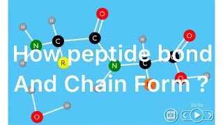 how peptide bond and peptide chain form ? |biomedical physic|Easy-Teach|2020