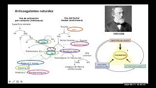 Anticoagulación - Dra  Sofía Lavado