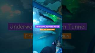 Underwater Aquarium Tunnel in Race Course, Dehradun #dehradun #shortsvideo #adventure #funshorts