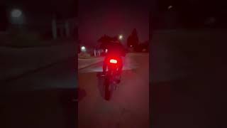 Honda grom shenanigans #shorts