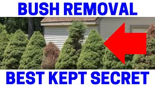 How To Easily Remove A Bush Shrub In Minutes!