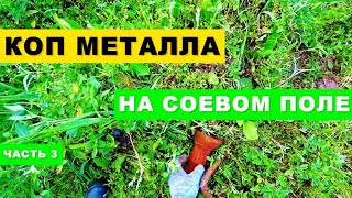 Коп На Соевом Поле | Часть 3