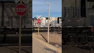 MRL SD70ACe trailing on BNSF grain train. Moorhead Subdivision