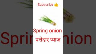 Five vegetables name Hindi and English| vegetable name