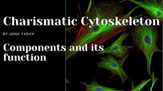 Cytoskeleton || Microtubules, Microfilaments and Intermediate filament with basic details