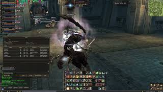 Saints Nekropolis Farm Seal Stone Reborn x1#lineage2 #reborn #l2 #relax