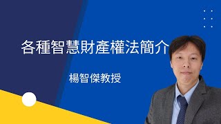 楊智傑教授/各種智慧財產權法簡介/清華大學通識智慧財產權課程介紹