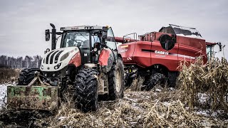 Zakopany Case || Koszenie kukurydzy w Grudniu na bliźniakach 2021 || Wtopa Axial Flow 8010 EcoCultiv