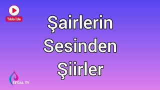 Şairlerin kendi sesinden şiirler