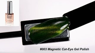 6ML Chameleon Magnetic Cat-Eye Gel Polish Review By BeautyBigBang