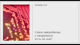 Связь микробиома с ожирением: есть ли она?