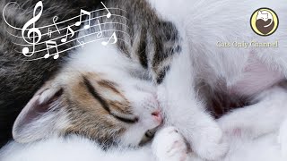 Calming Cat Music for Relieve Anxiety (with cat purring sounds)