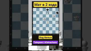 Telegram: Albinachess #chess #шахматы #chorts