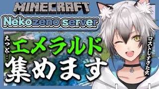 【Minecraft】あなたの作業が捗るマイクラRadio【猫瀬乃しん】