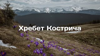 ПОХІД НА ХРЕБЕТ КОСТРИЧА | КРОКУСИ В КАРПАТАХ