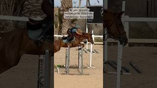 HORSE RIDING - show jumping, cute animals, horse falls and fails, postawa i ćwiczenia u dzieci