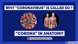 "Corona" in Anatomy | Why Coronavirus is called so ? | Why the name Covid 19 ? | Anatomy Decoded