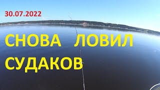 Снова ловил судака на том же месте