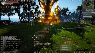 Succ Wizard Grinding be like ... My First Try | BDO