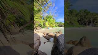 This beach in the Seychelles is PERFECT 🤩🏝️ #luxurytravel #seychelles #luxuryresorts #shorts