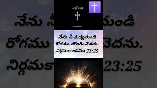 #gsvihari  Today Bible Verses 🙇🏻‍♀️🙇🏻✝️