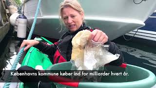 Trash hunt with the Lord Mayor, Sophie Hæstorp Andersen