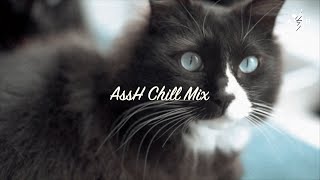 ［playlist］AssH Chill Mix #1 #chillmusic #relaxing #AssH #playlist #mix