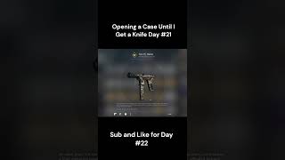 Opening a Case Until I Get a Knife Day #21