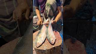 Amazing Hilsa Fish Cutting Skills In Bangladesh Fish Market By Expert Cutter #shorts