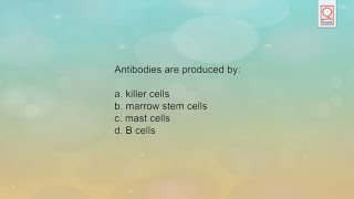 Medtech | Medical Laboratory Technologist Board Exam Review LIVE