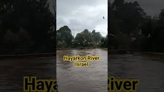 HAYARKON RIVER #shortvideo #adventure #journey #israel #collectingmemories