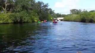 Kayaking Trip at Upper Tampa Bay Park Trail.