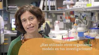 Seres modélicos. Entre la naturaleza y el laboratorio: Entrevista a Maribel Geli