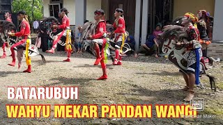 batarubuh 🔴ebeg wahyu mekar pandan wangi live in sarwadadi