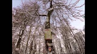 Winterwanderung auf den Moritzberg