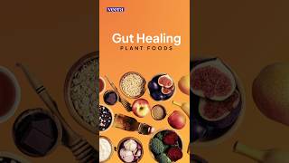 Gut Healing Plant Foods #plants #guthealth #guthealthdiet