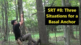 SRT #8: Three Situations for a Basal Anchor