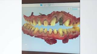 Case Focus with MediMatch