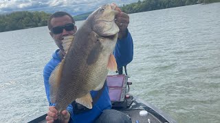 Lake Champlain sheephead aka freshwater drum fishing.