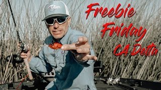 How to Catch Bass on the Ca Delta - Freebie Friday September