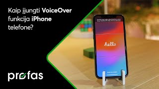 Kaip įjungti VoiceOver funkciją iPhone telefone?