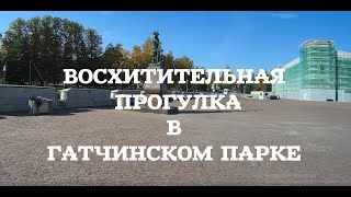 Восхитительная прогулка в Гатчинском парке.