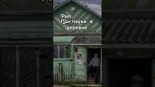 пауки в деревне #паук #футаж #тренд #гача