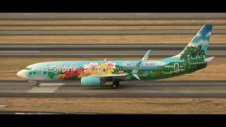 (4K) Stunning Livery Traffic at PDX - Portland, Oregon - Plane Spotting