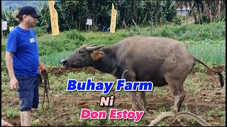 BUHAY SA FARM Ni Don Estoy Napakasarap Dito Mag Enjoy Po Kayo Promise