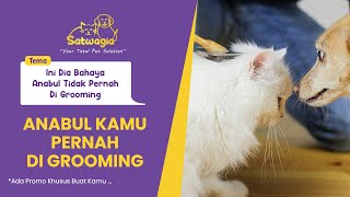 BAHAYA ANABUL TIDAK PERNAH DI GROOMING😱😱 Check This Out